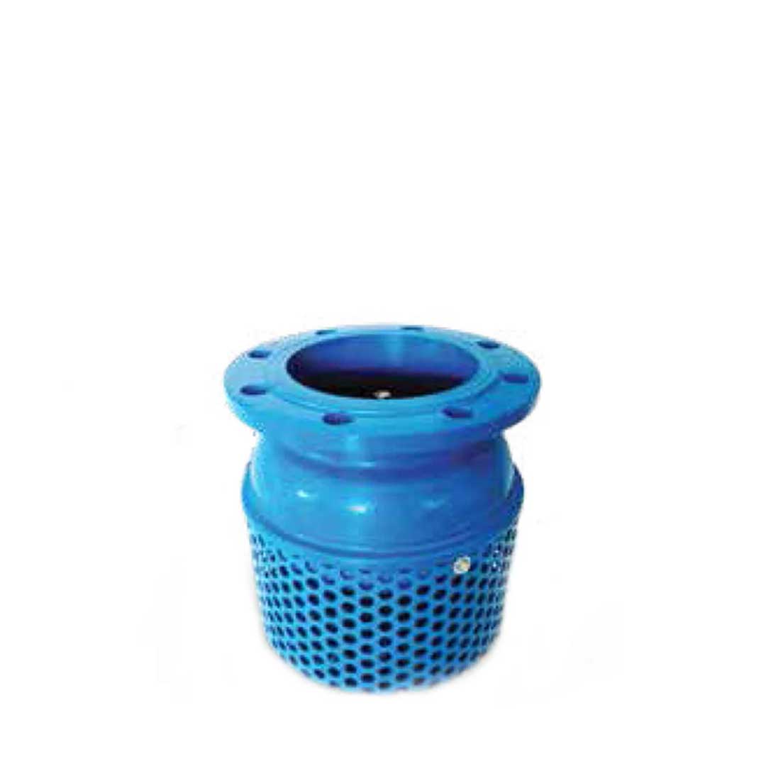Foot Valve